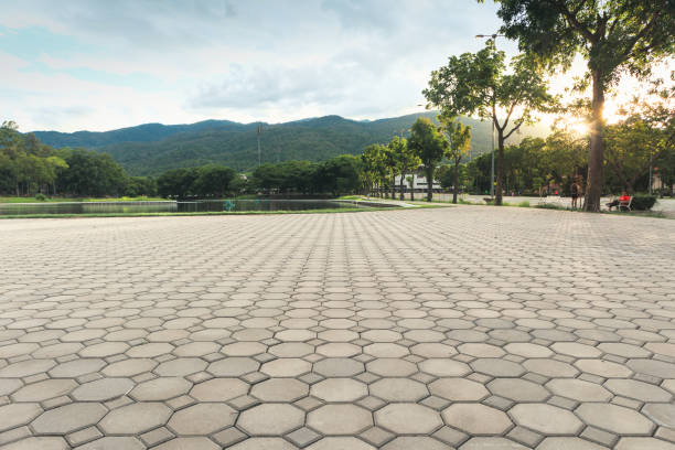 Best Concrete Paver Driveway  in Argo, AL