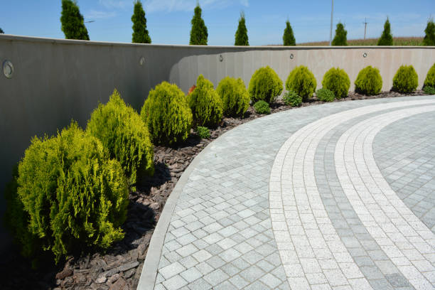 Best Professional Driveway Pavers  in Argo, AL